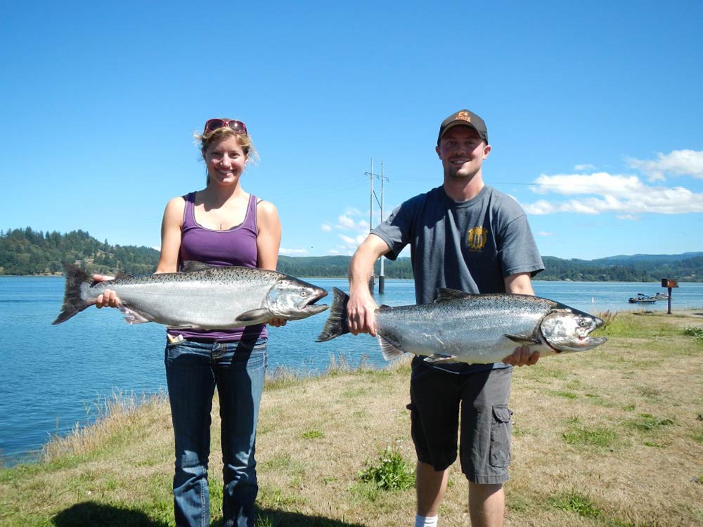 Fall Chinook, August 31, 2013