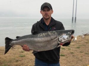 Fall Chinook: September 13, 2020