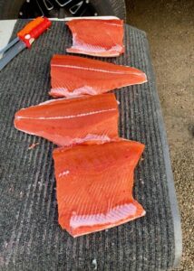 Fall Chinook: October 17, 2020