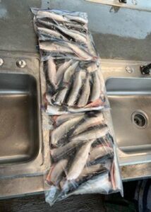 Kokanee Fishing: May 25-26, 2019