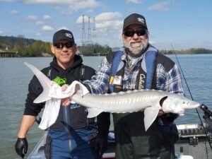 Willamette River Sturgeon (Catch & Release): March 27, 2016