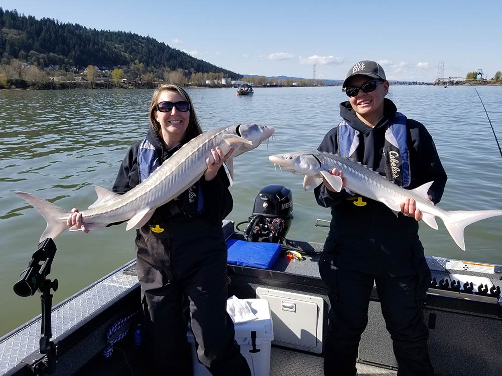 Sturgeon (Released): March 31, 2018