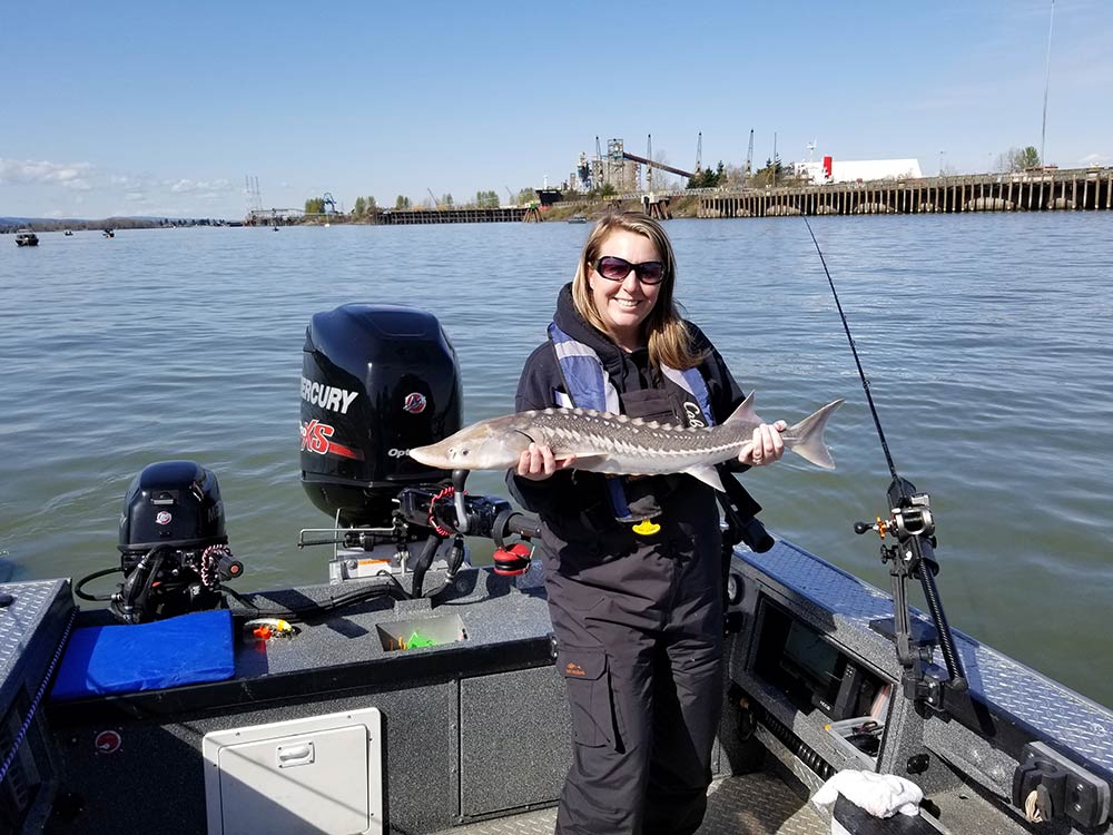 Sturgeon (Released): March 31, 2018