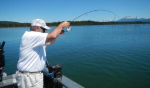 Galleries of Photos & Videos from John Elder Fishing Guide Service
