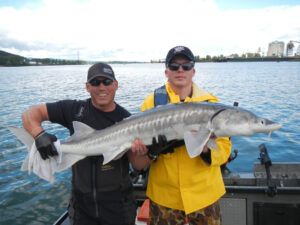 Sturgeon Guided Trips with John Elder Fishing Guide Service